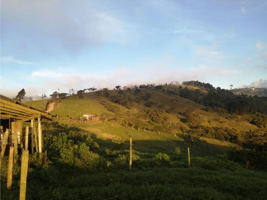 Finca en Zarcero