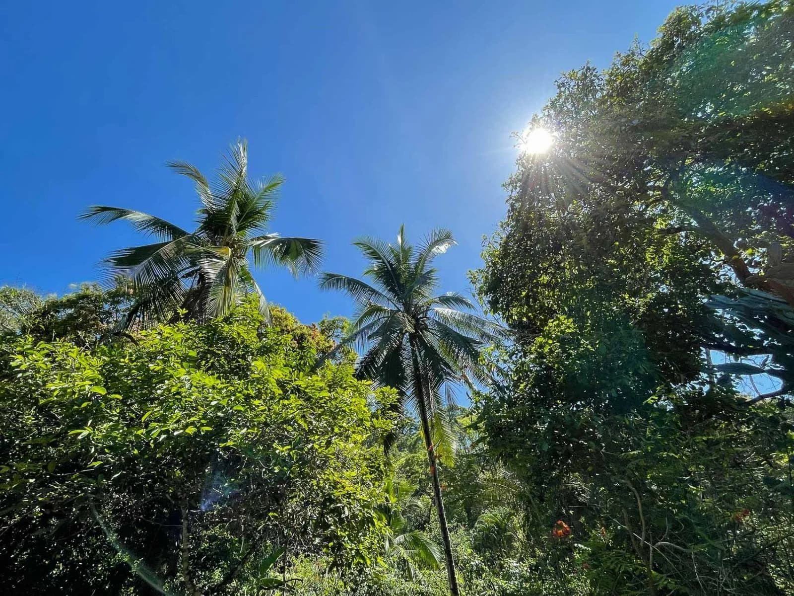Land at Puerto Jiménez