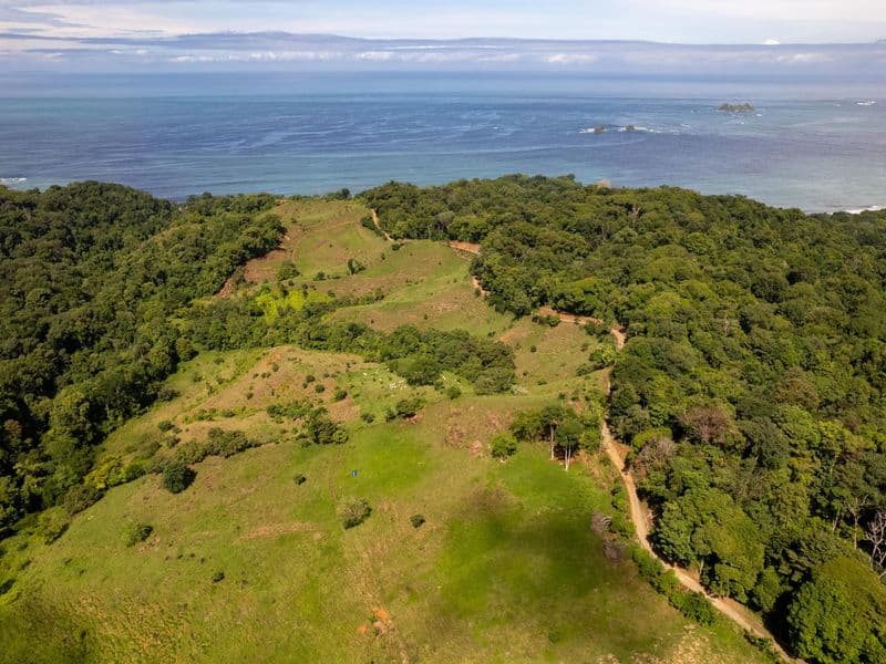 Terreno en Bahía Ballena
