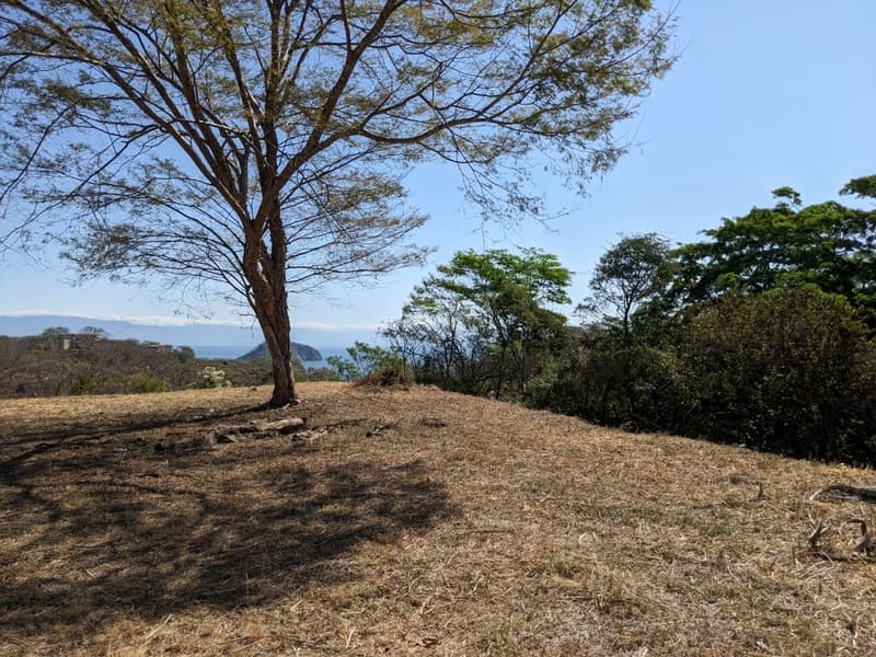 Land at Puerto Jiménez