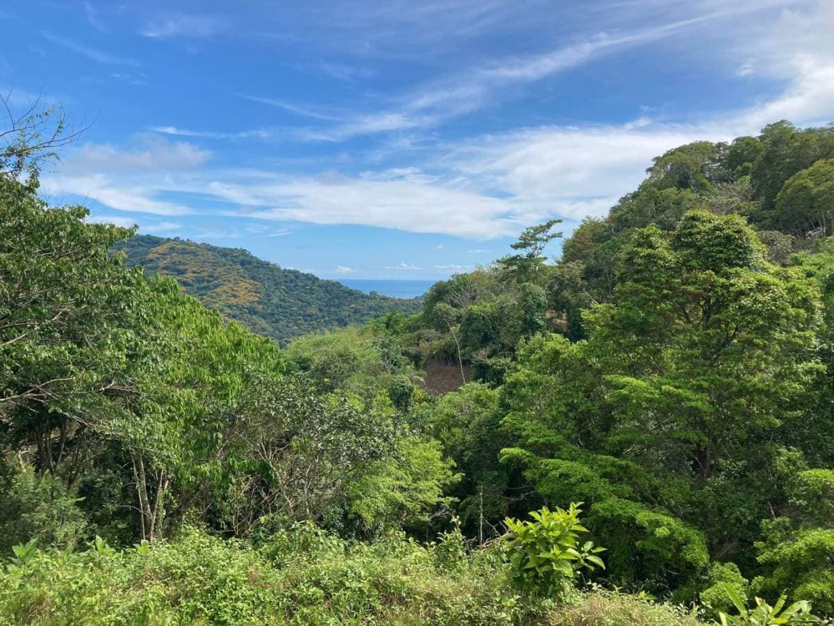 Property at Platanillo
