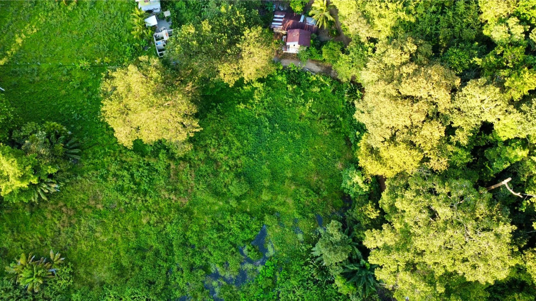 Terreno en Bahía Ballena