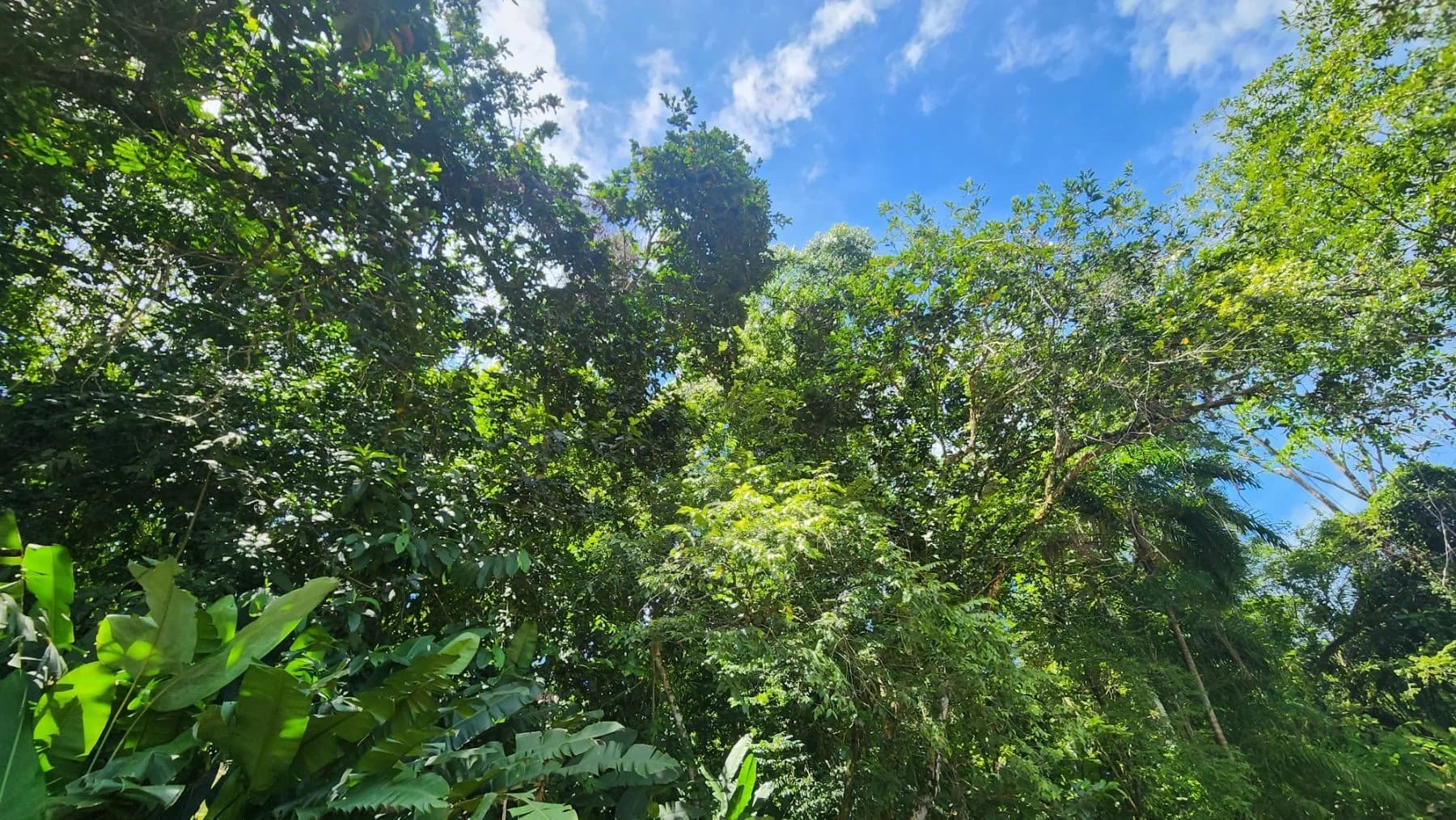 Terreno en Dulce Pacifico