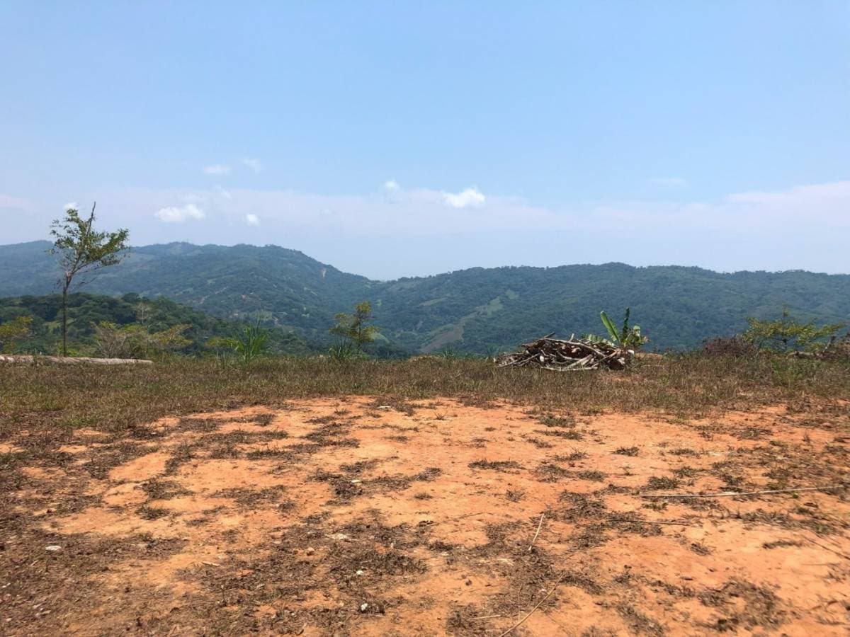 Property at Platanillo