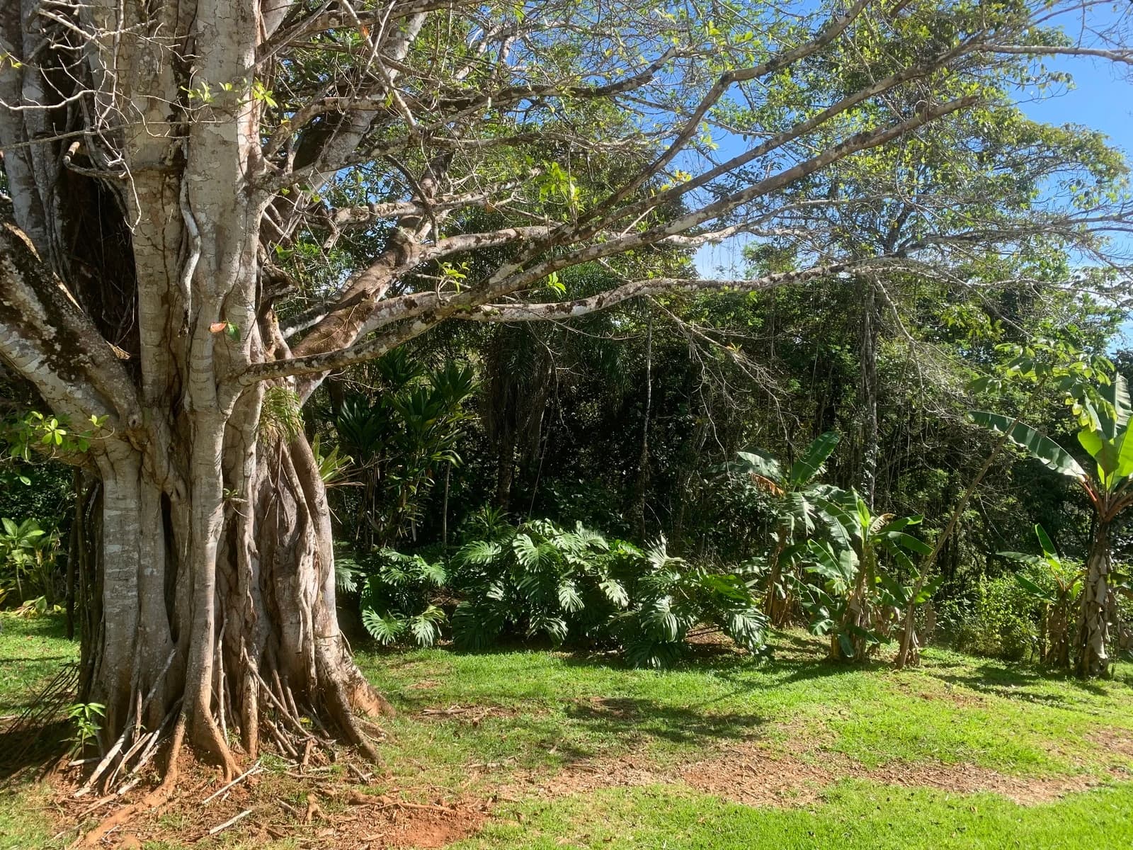 House at Cóbano