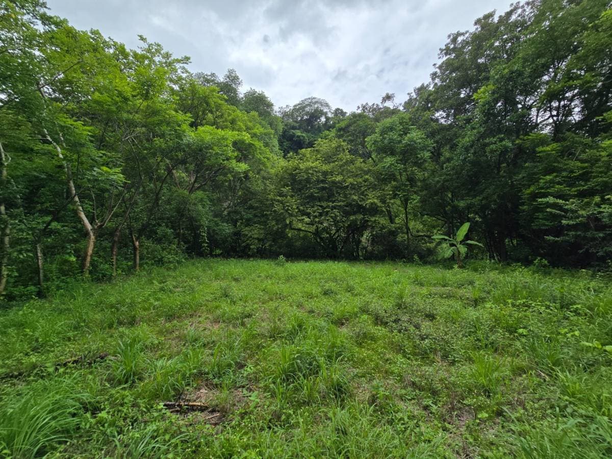 Property at Atenas