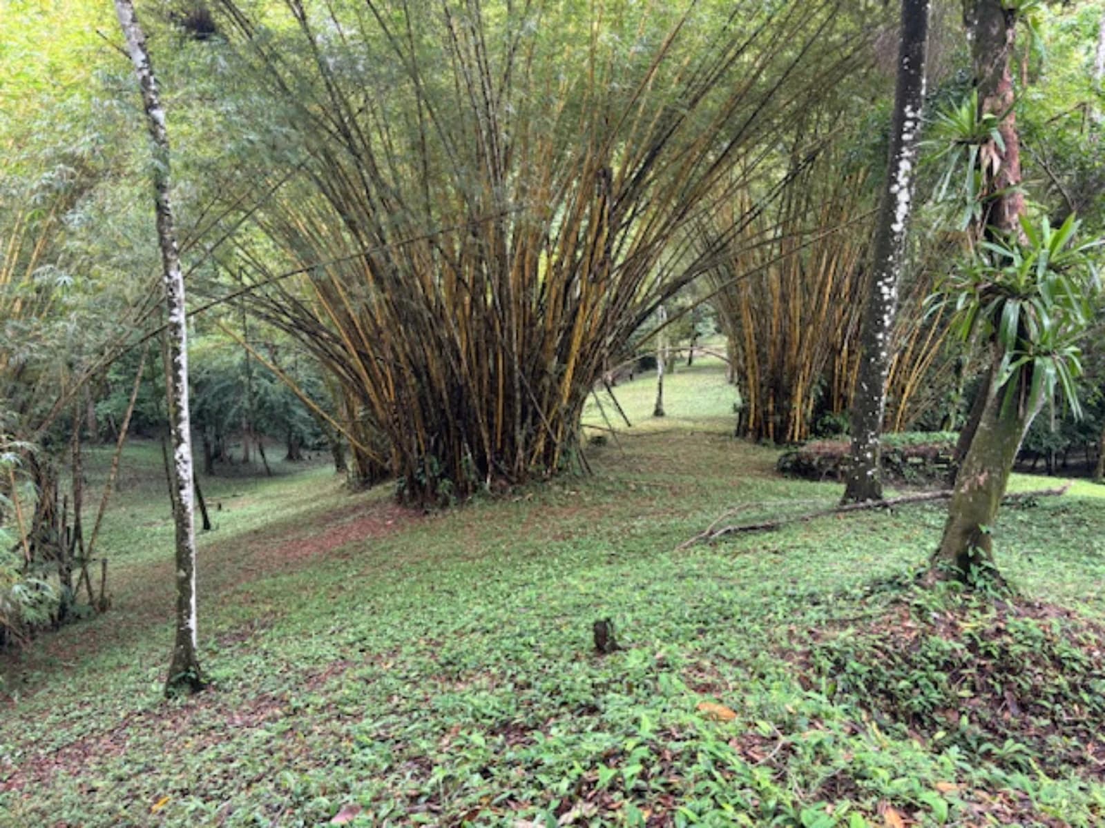 Terreno en Bahía Ballena