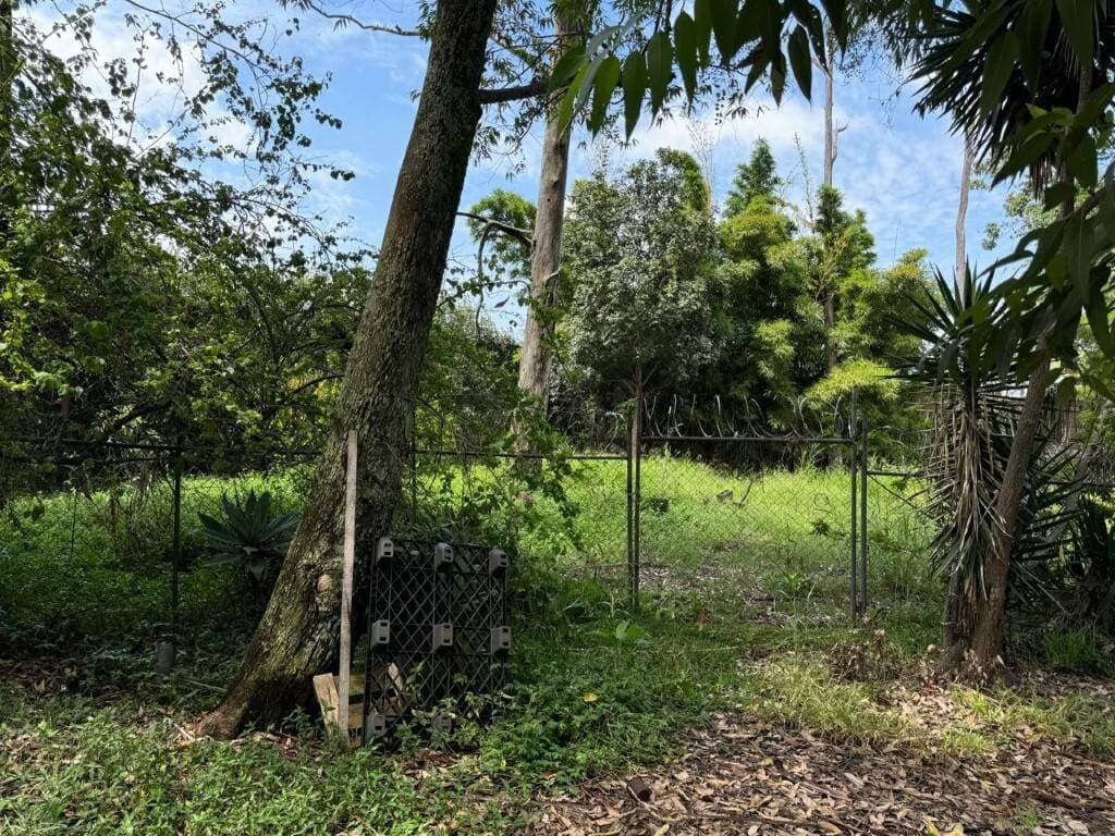 Property at Pavas