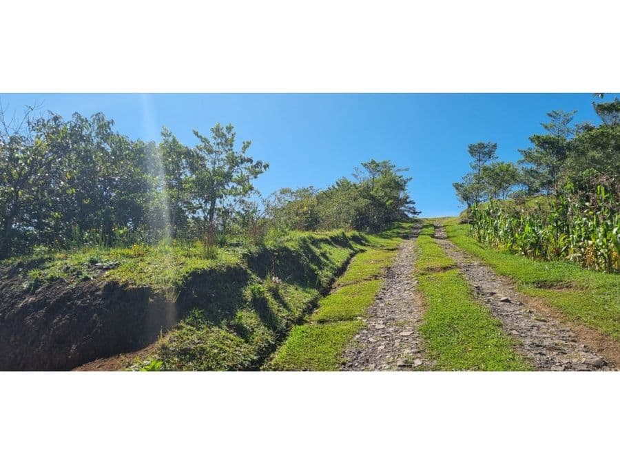 Terreno en San Isidro