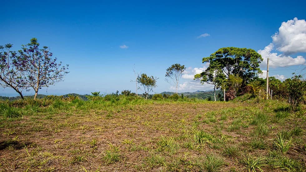 Terreno en Bahía Ballena