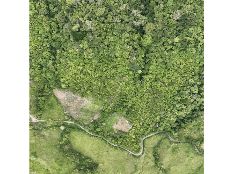 Propiedad en Tucurriqué