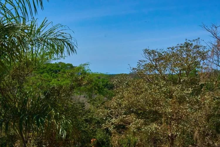 Land at Garabito