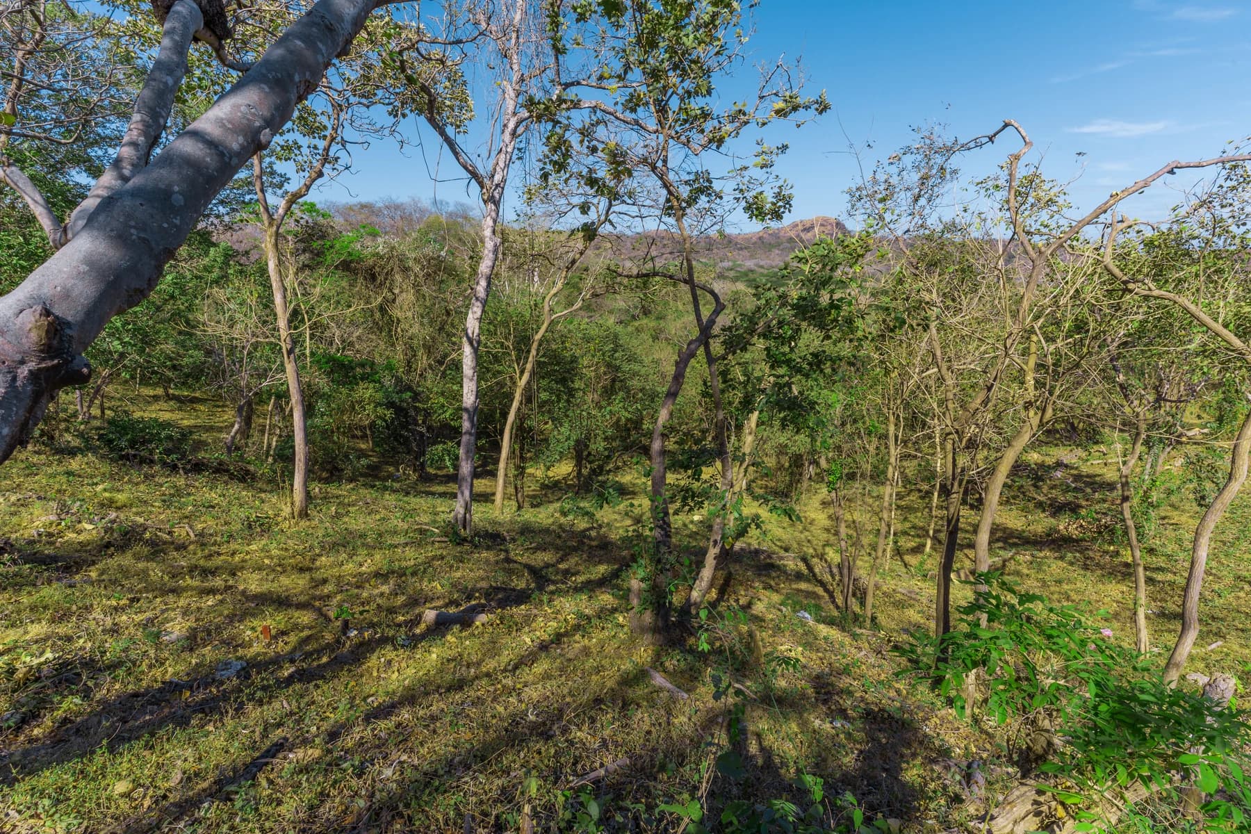 Land at Santa Cruz