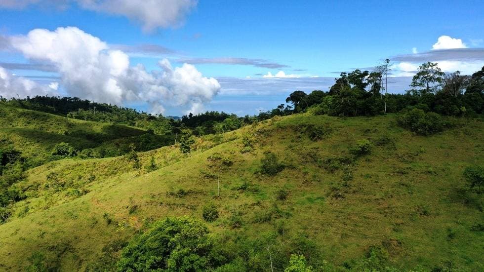 Estate at San Isidro del General