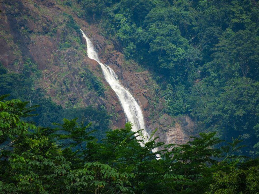 Property at Camaronal