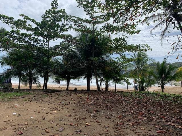 Property at Limón