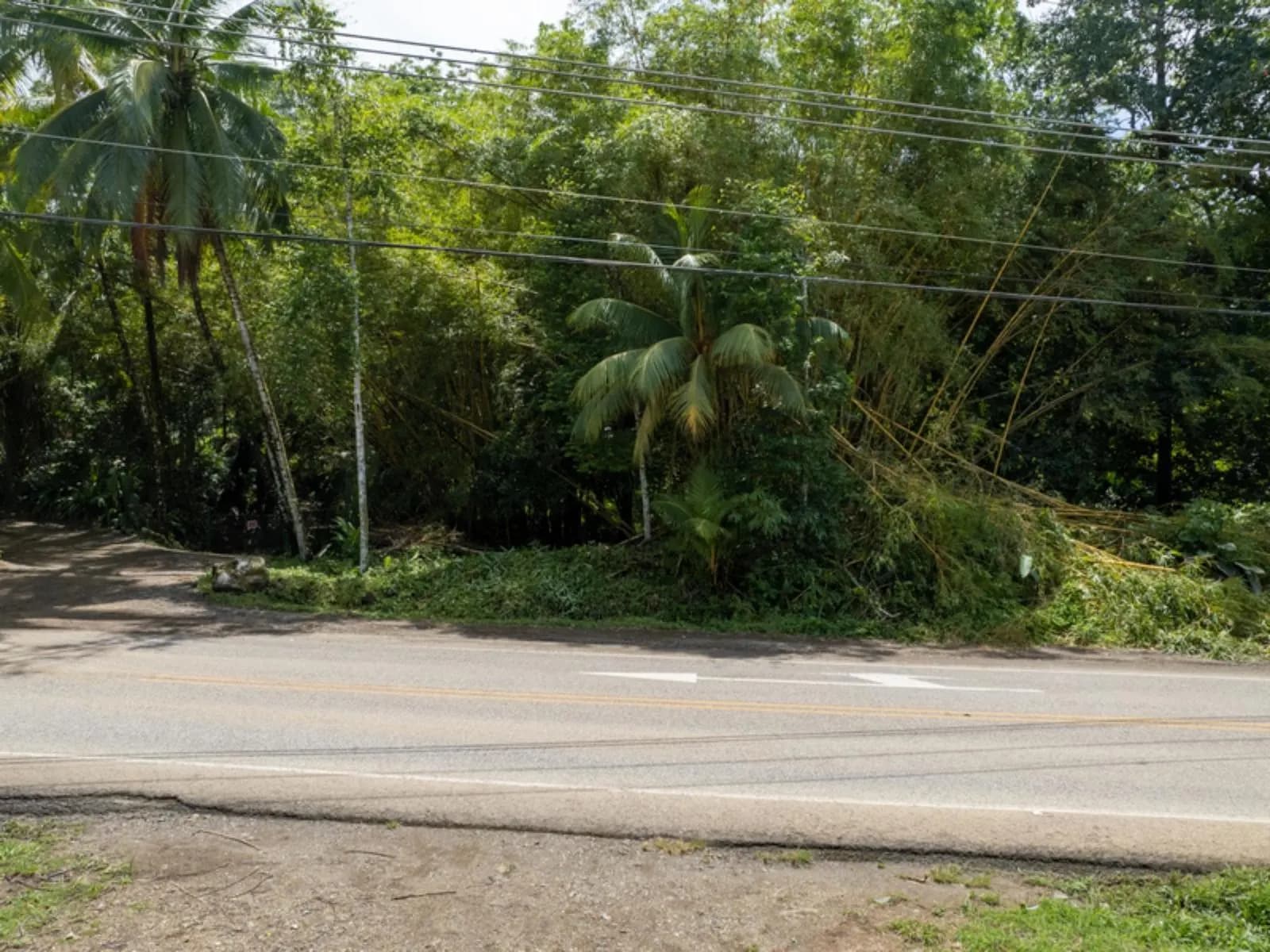 Terreno en Bahía Ballena
