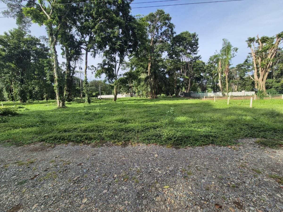Property at Puerto Viejo