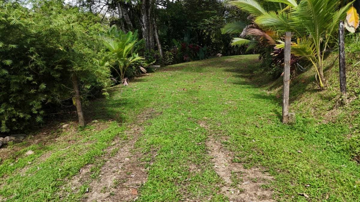 Propiedad en Ojochal