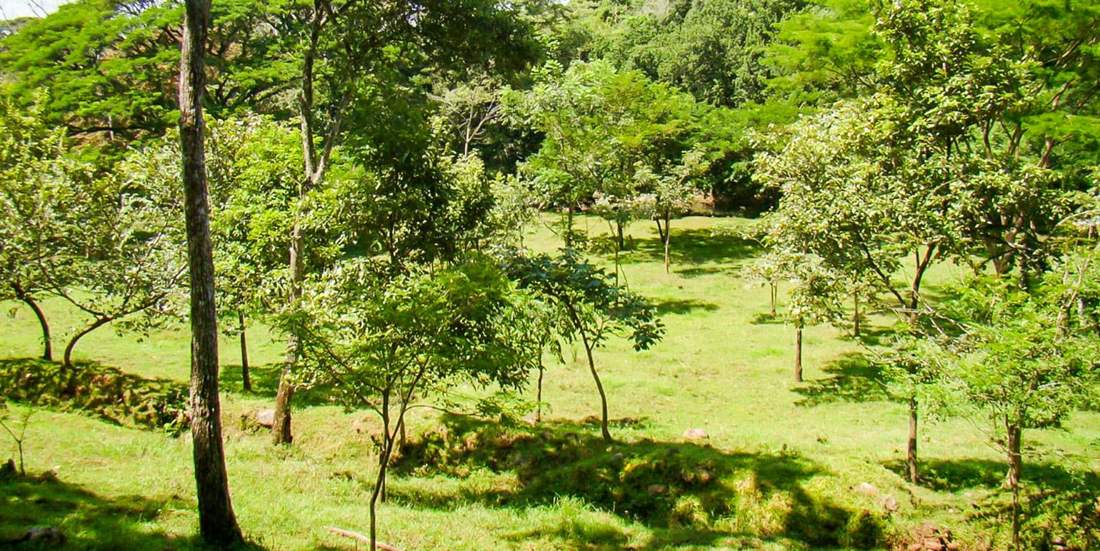 Property at Alajuela