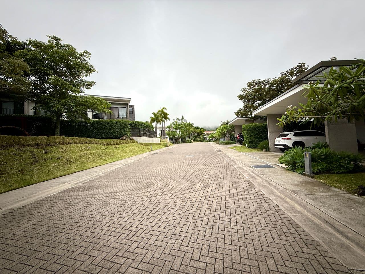 Property at Los Laureles