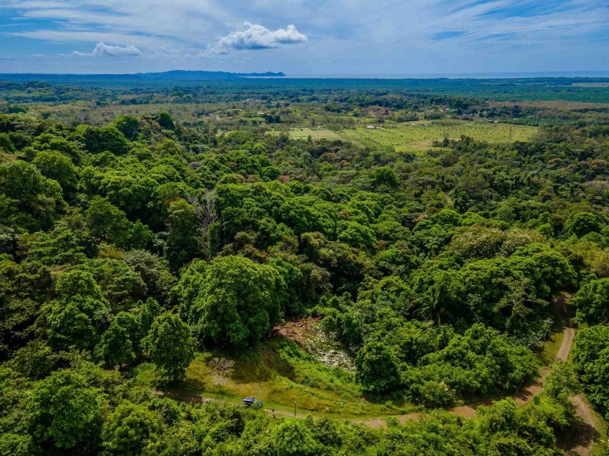 Property at Manuel Antonio