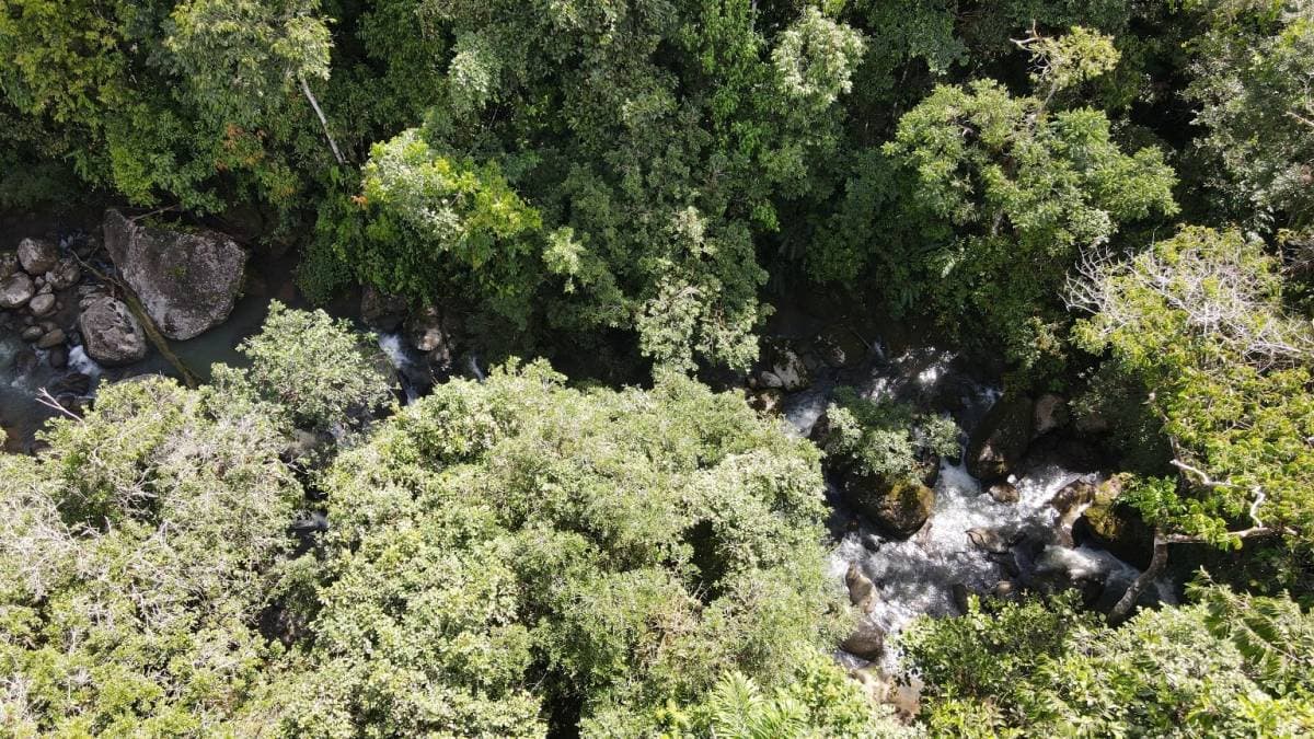 Property at Pejibaye