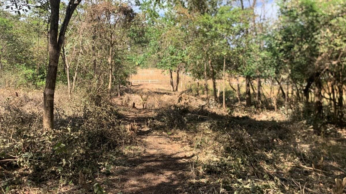 Propiedad en Tamarindo