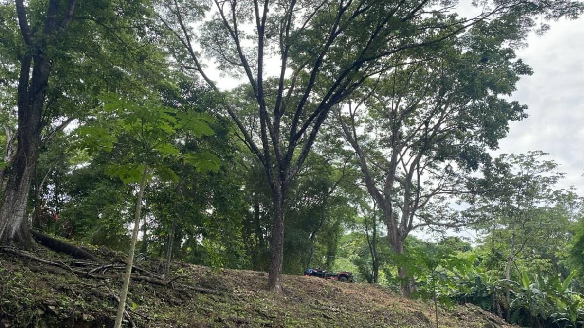 Property at Puntarenas