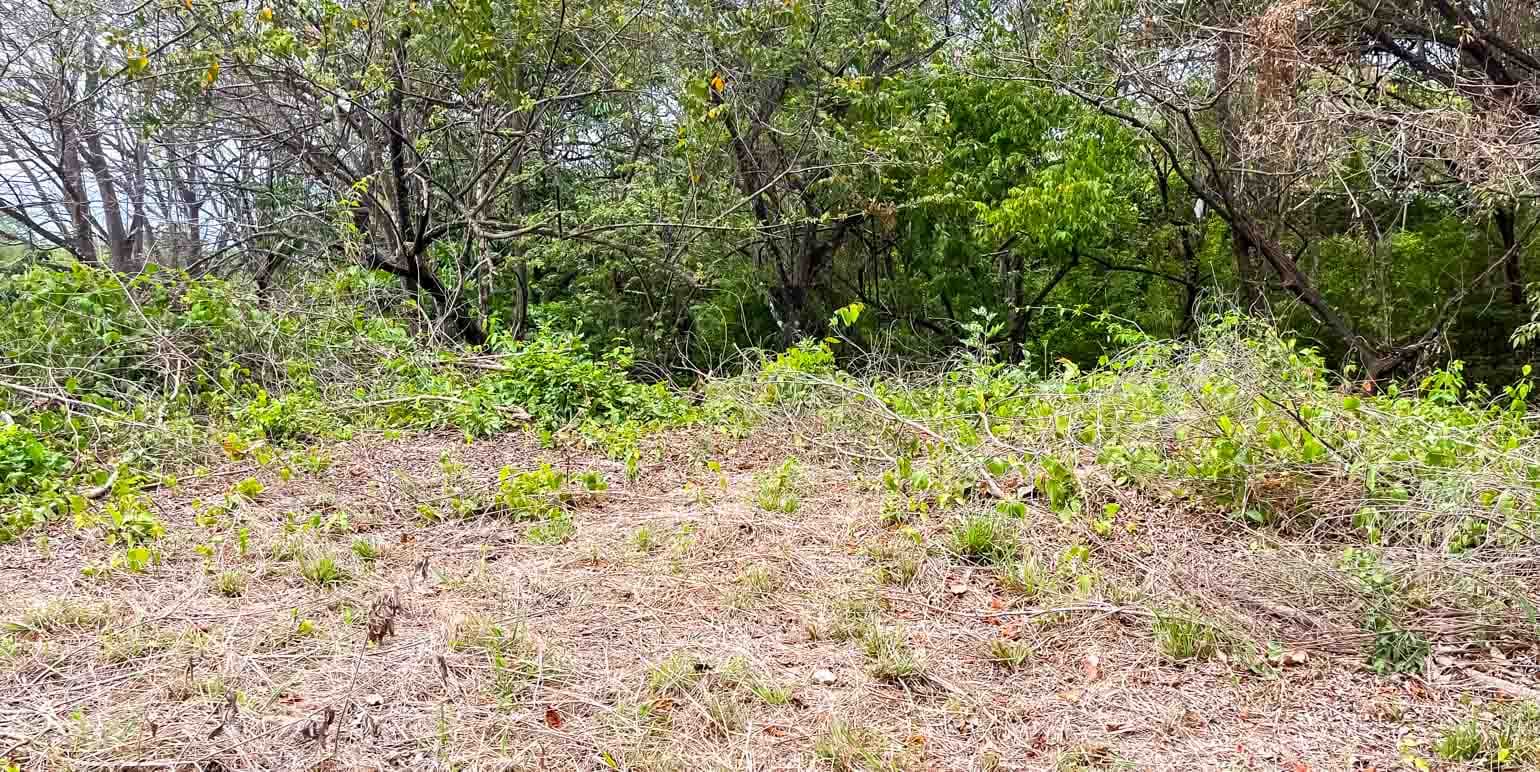 Propiedad en Cóbano