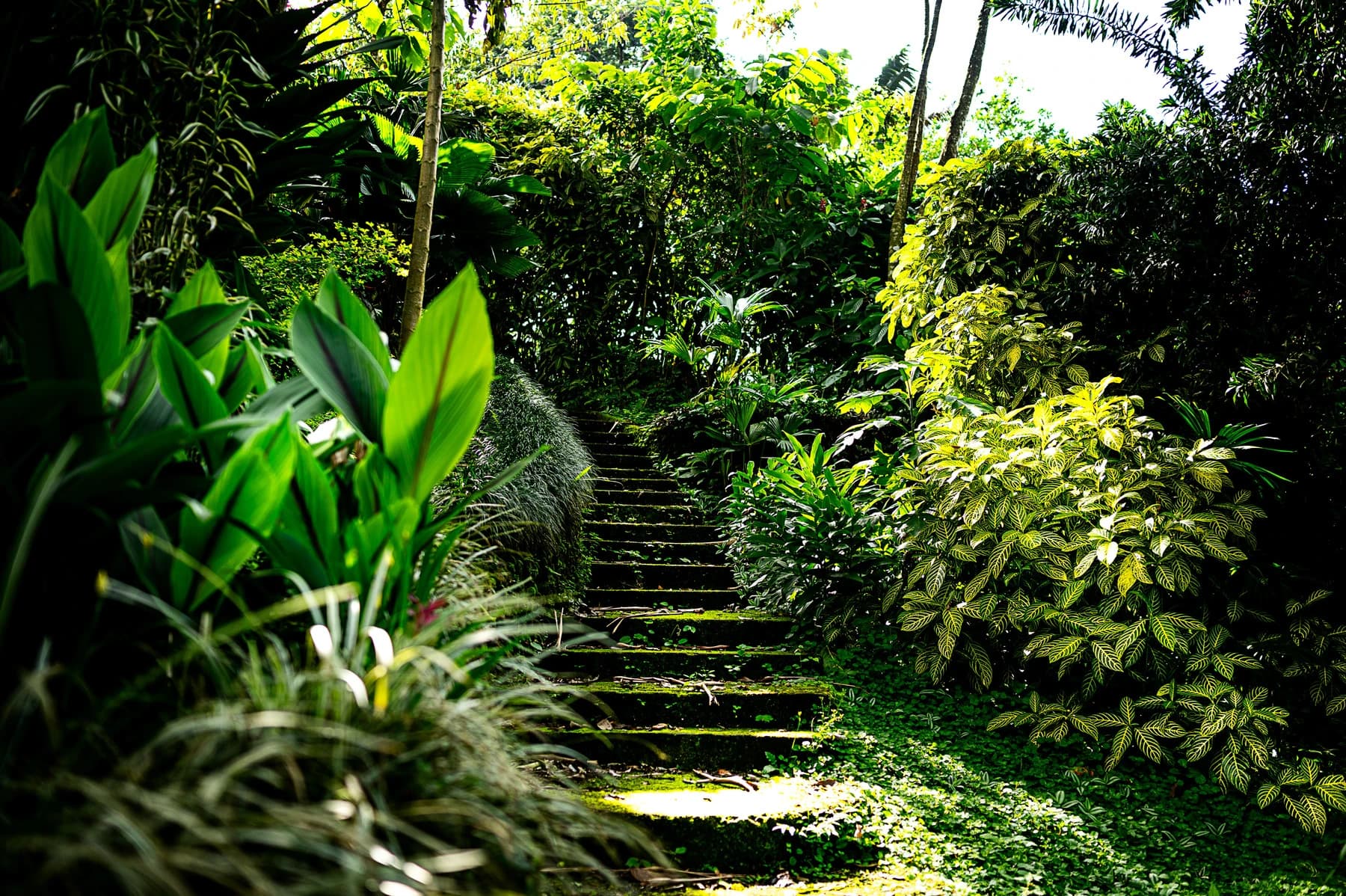 Casa en Arenal