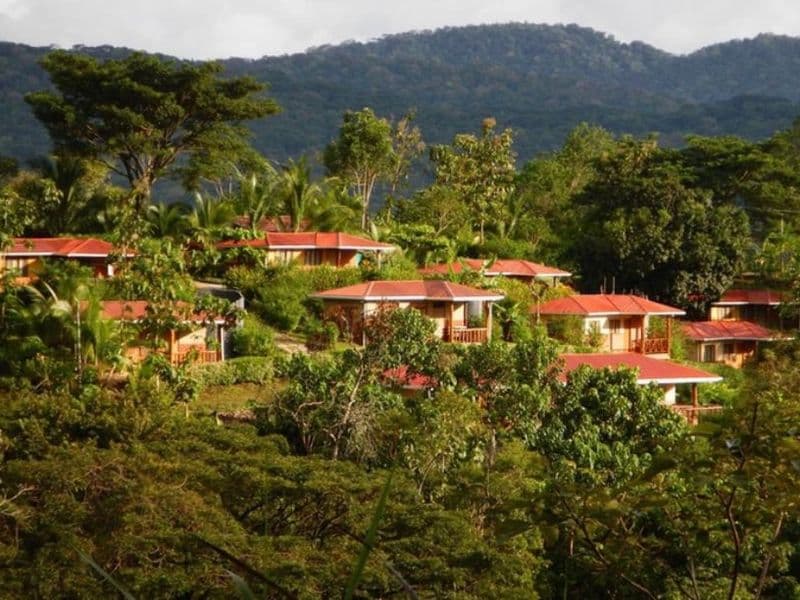 Comercial en Lagunillas