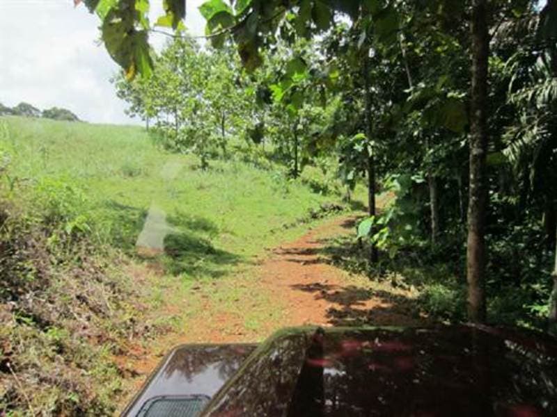 Land at Quepos