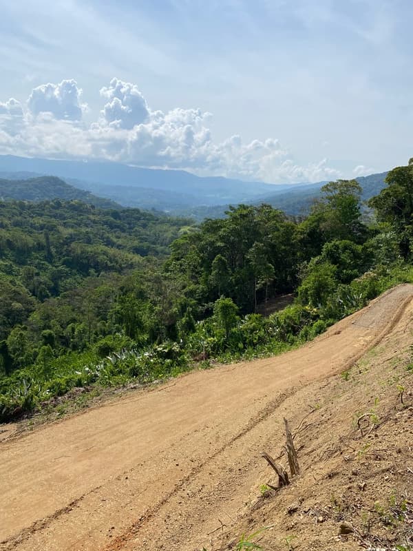 Land at Bahía Ballena