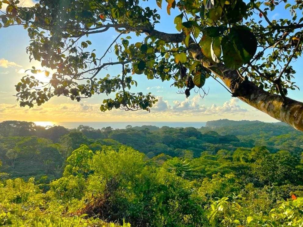 Propiedad en Ojochal