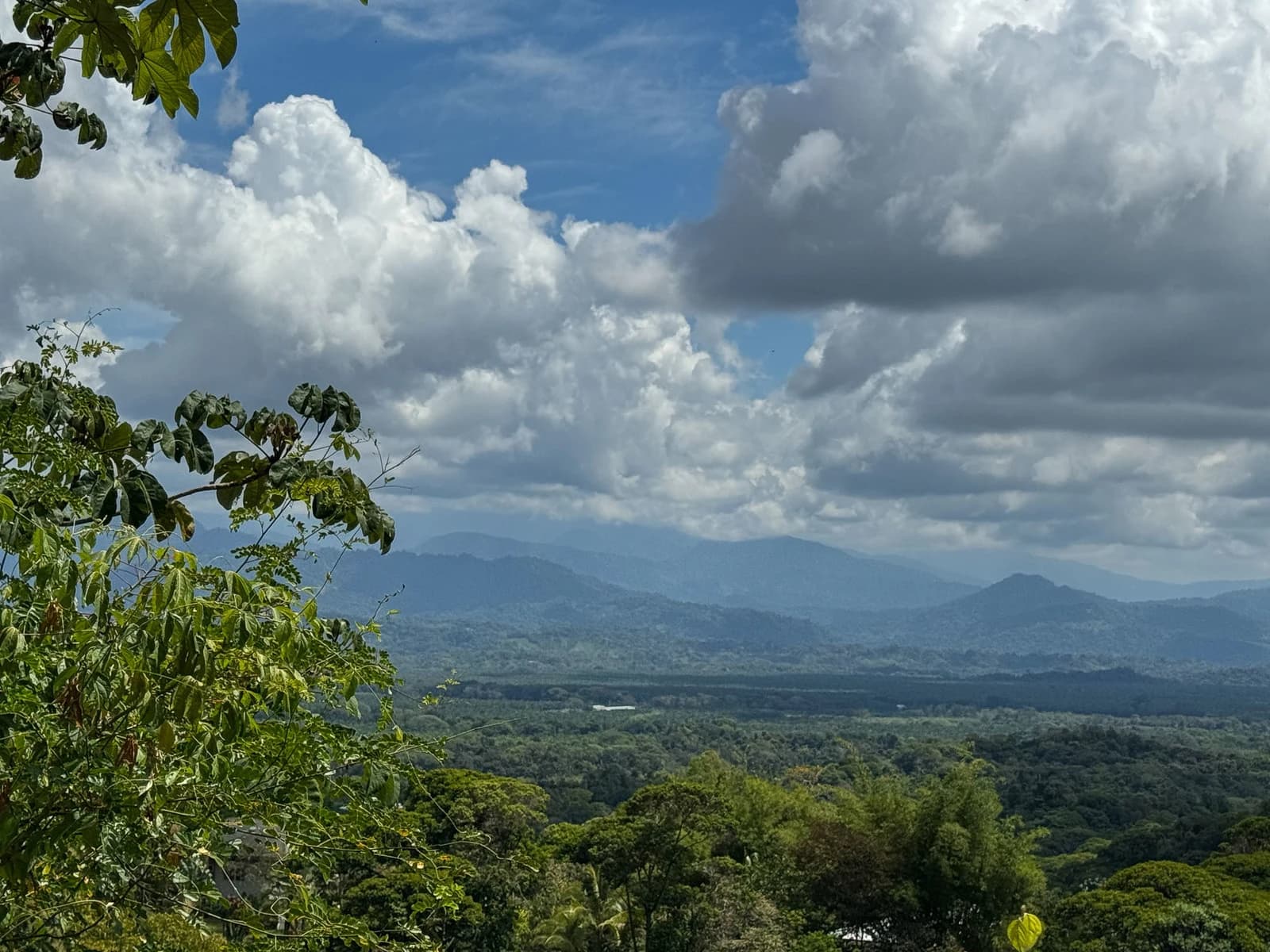 Land at Quepos