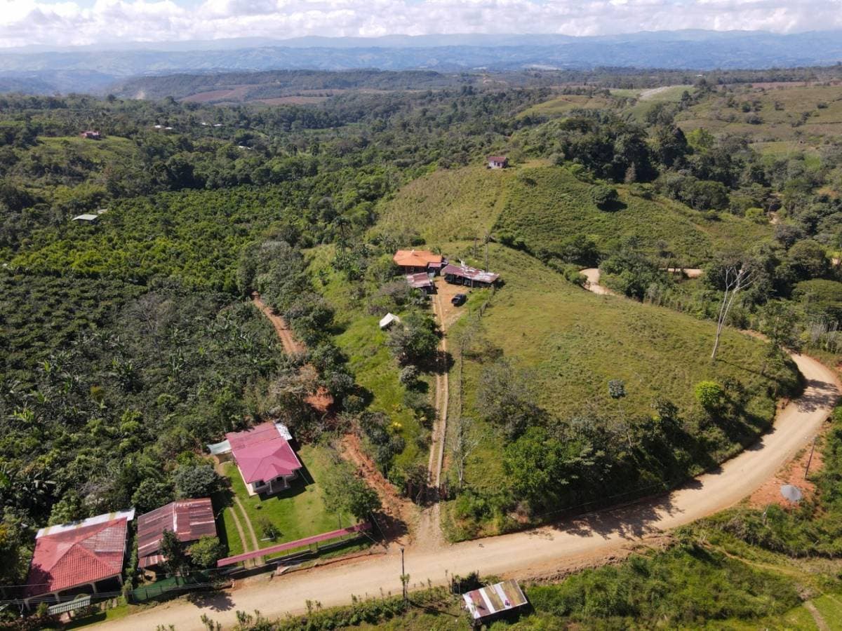 Property at San Isidro del General