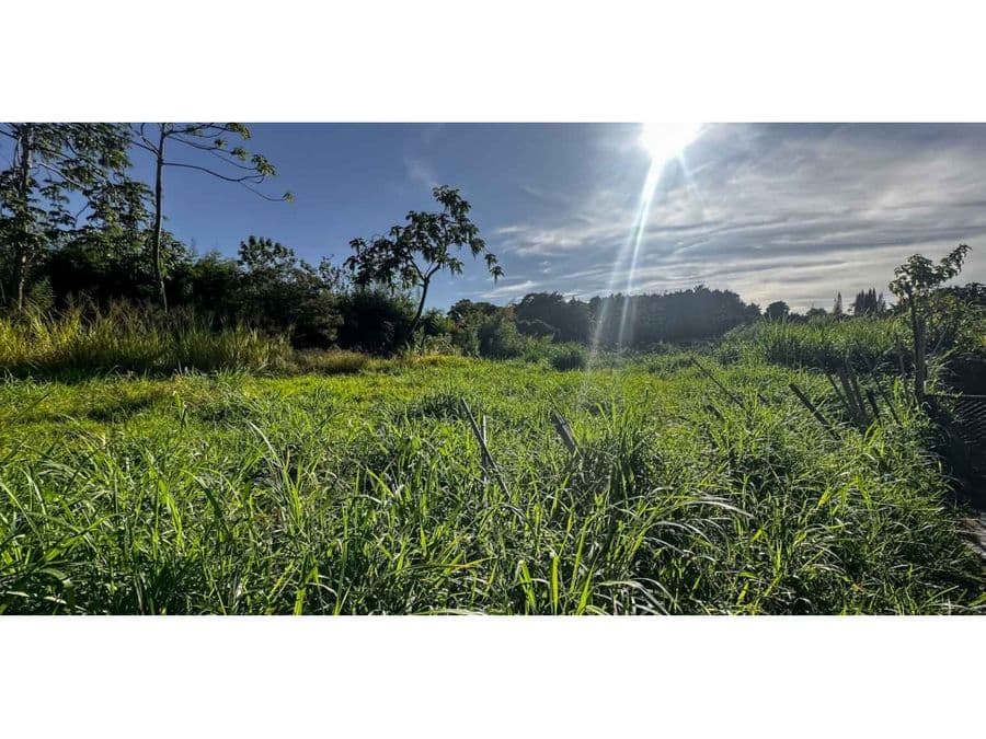 Land at San Pedro