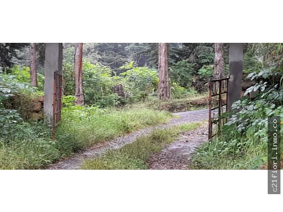 Finca en Santa María