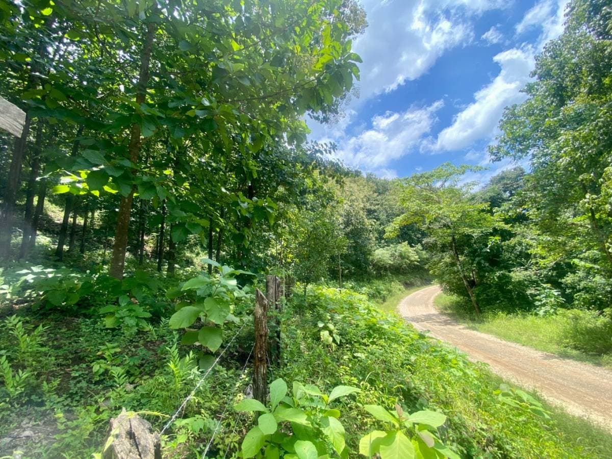 Property at Condominio Santa Marta