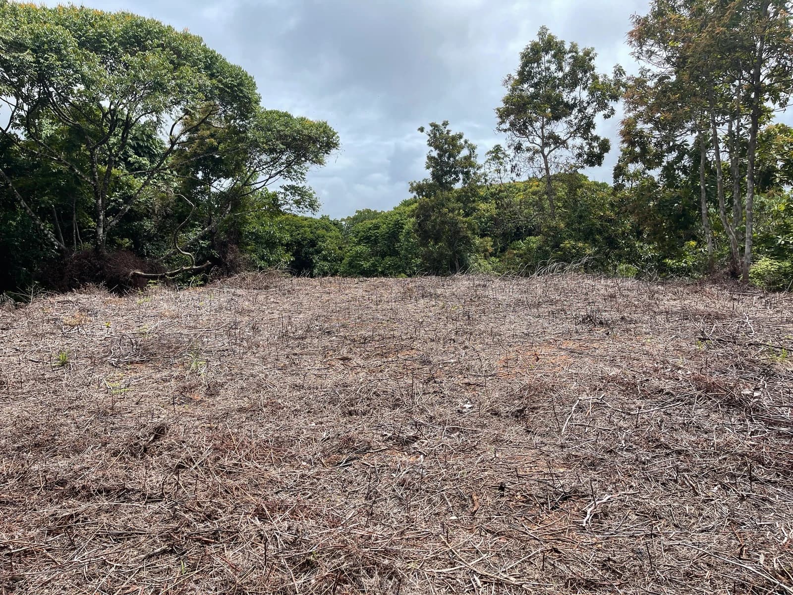 Land at Barú