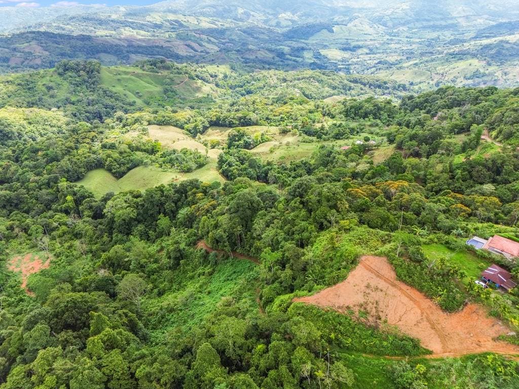 Property at Savegre