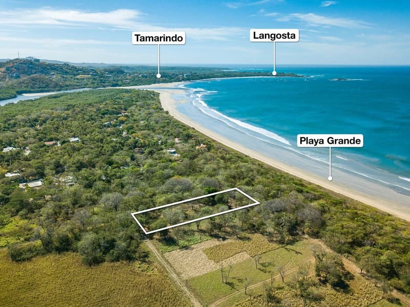 Land at Tamarindo