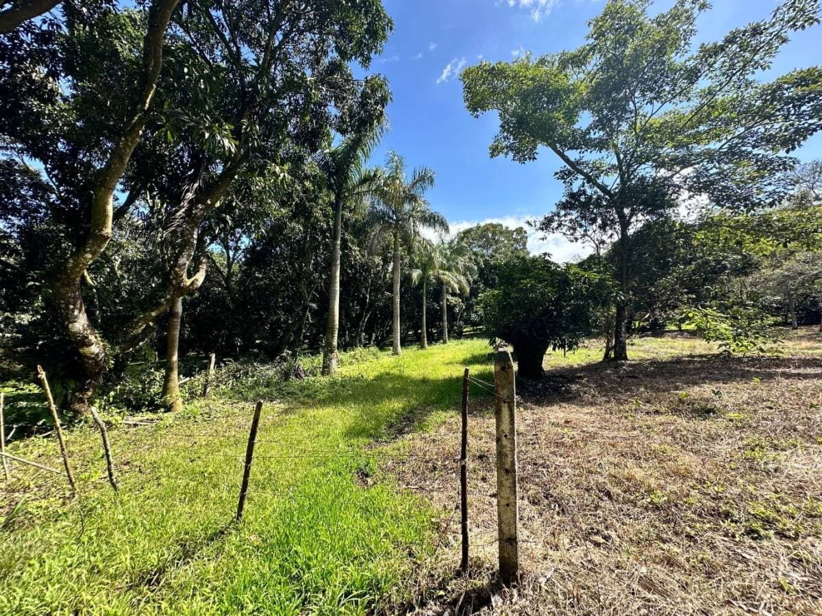 Property at Atenas
