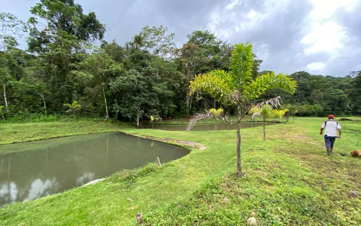 Property at General
