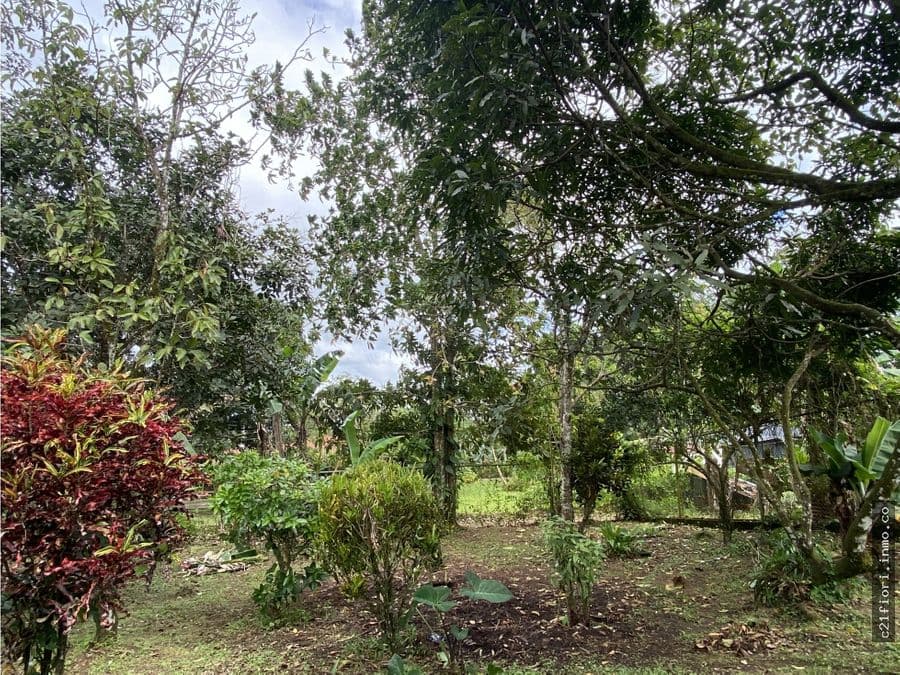 Terreno en San Ramón