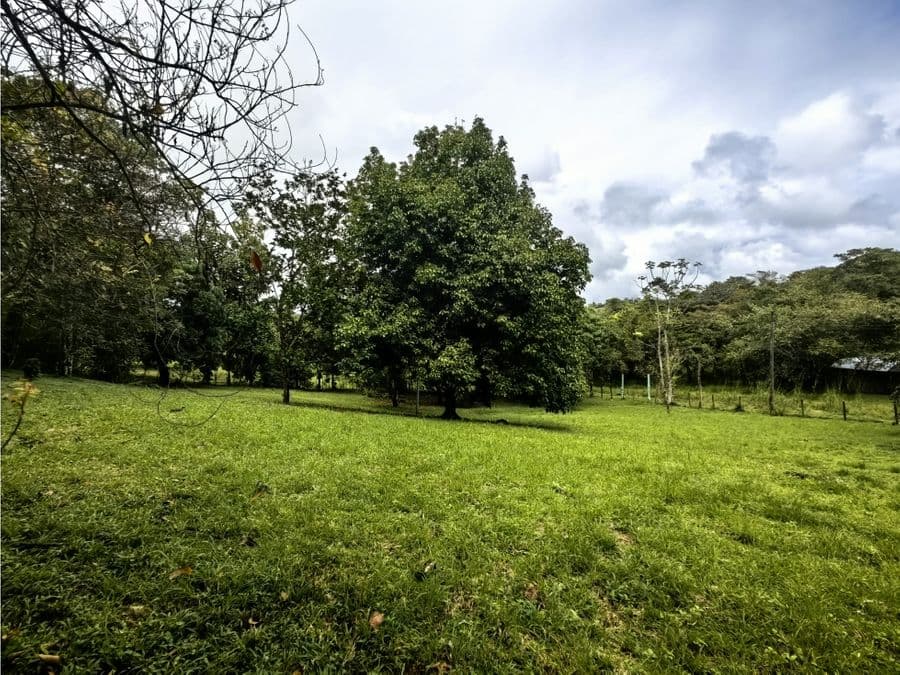 Terreno en El Mastate