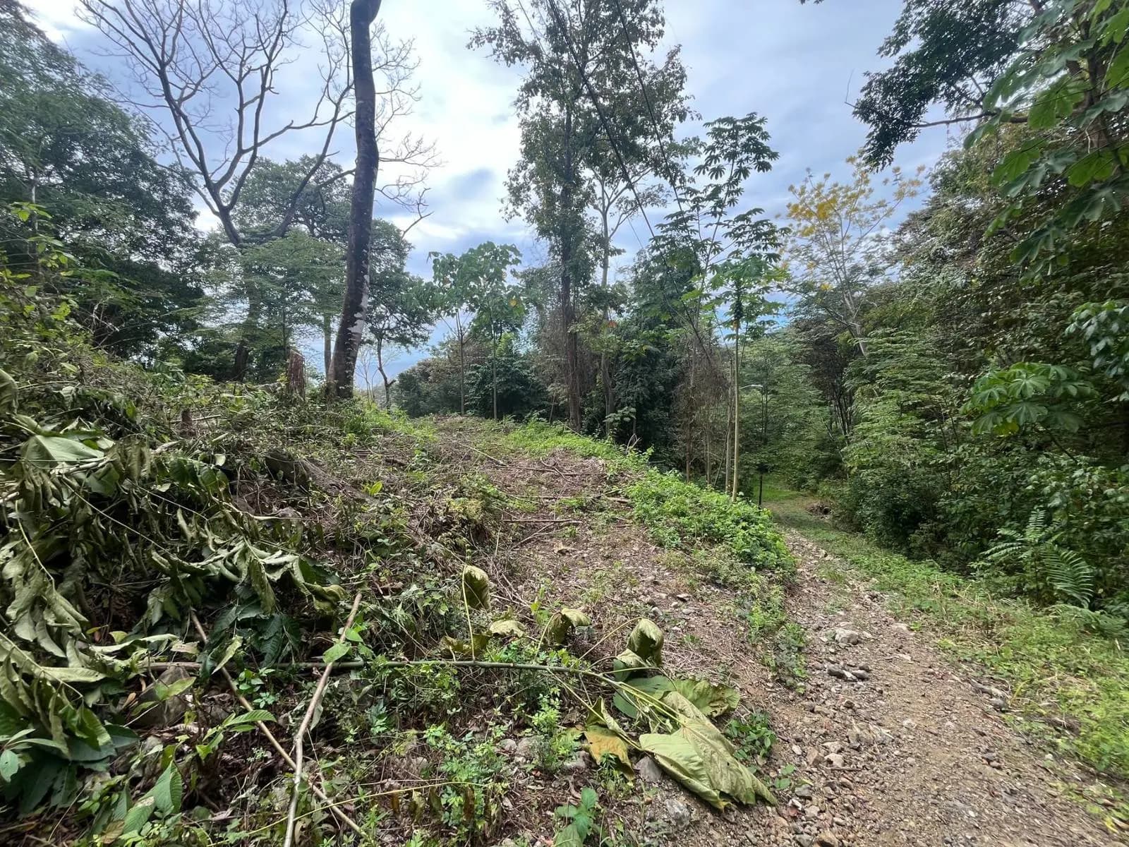 Land at Cóbano