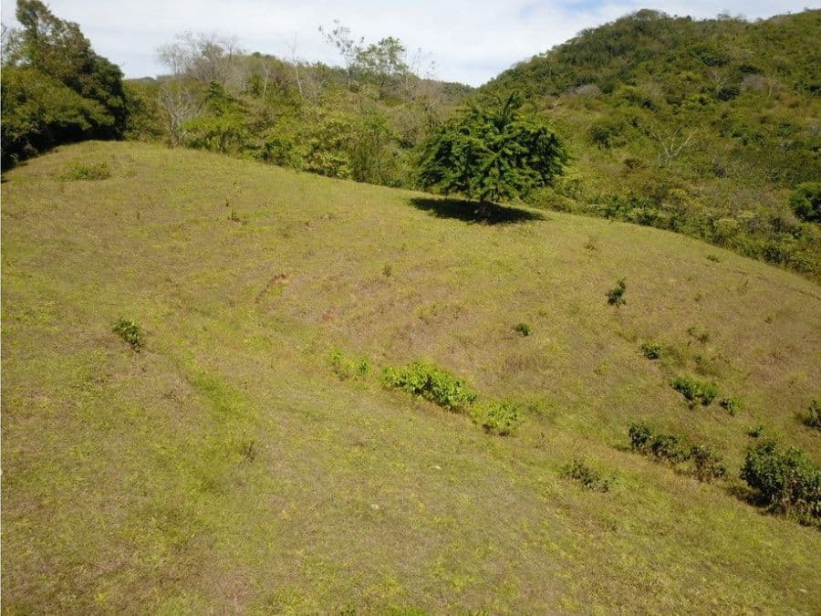 Estate at Monte Romo