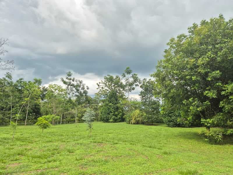Terreno en La Fortuna